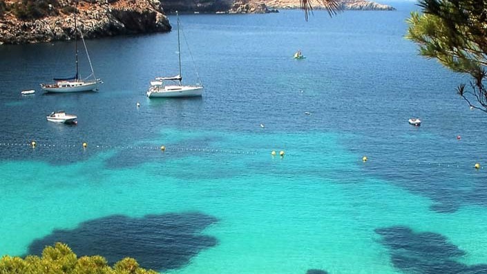 Curso PER presencial: Aguas turquesas con pinos y praderas moradas de Posidonia.