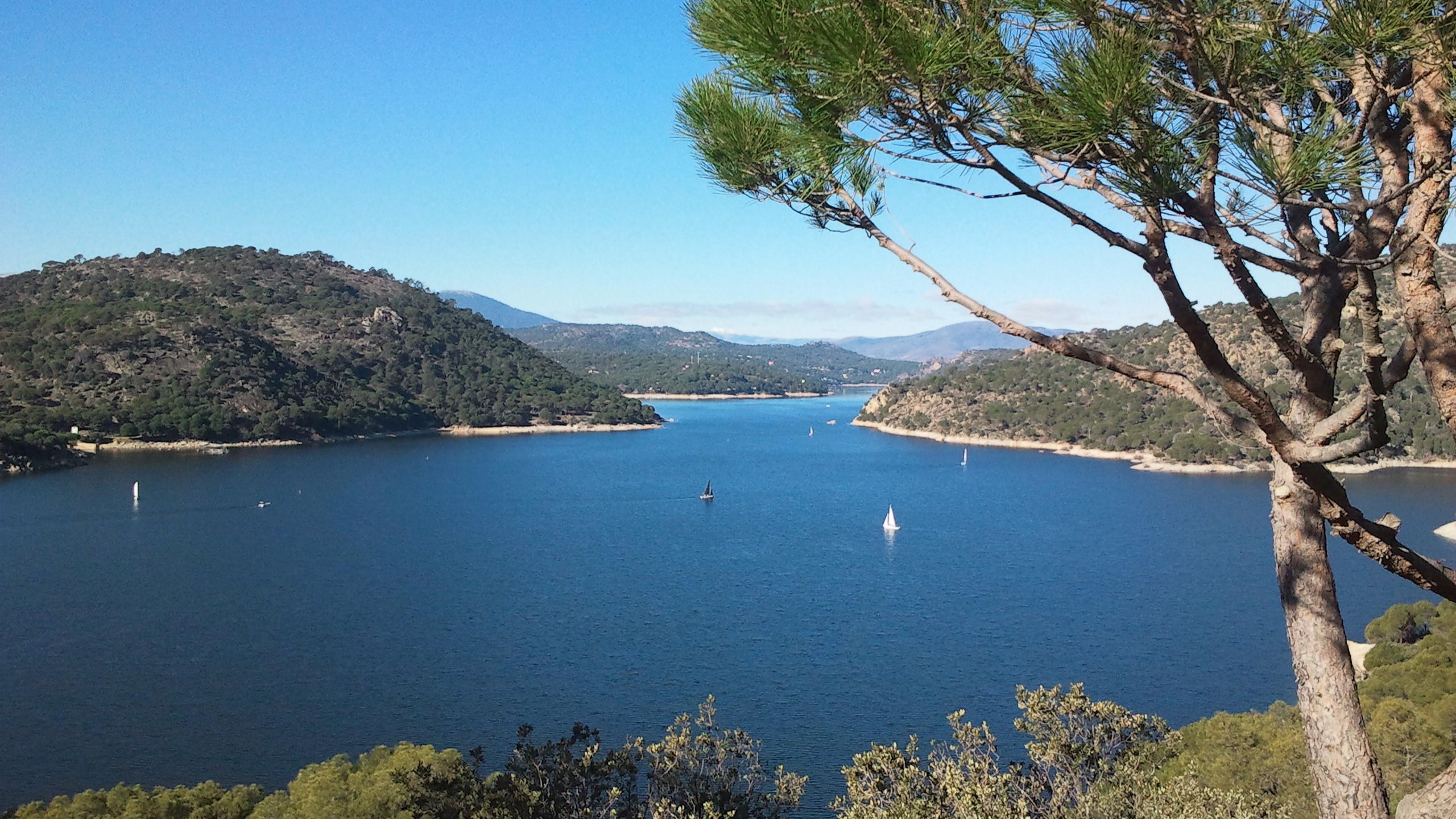 Prácticas PNB en Madrid: Aguas tranquilas y azules presididas por pinos – practicas pnb embalse san juan