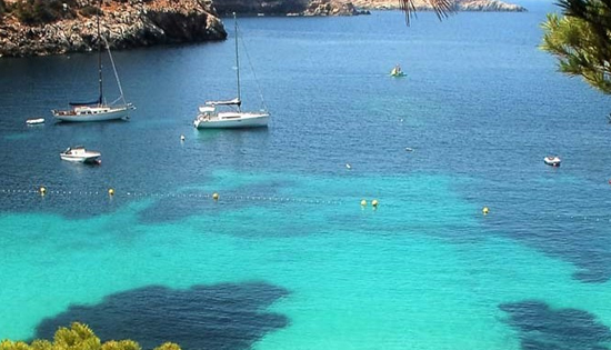 Curso PER presencial: Aguas turquesas con pinos y praderas moradas de Posidonia.