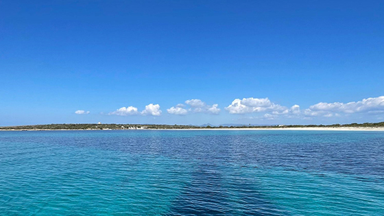 Vistas preciosas de aguas con playa de fondo