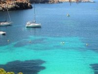 Curso PER presencial: Aguas turquesas con pinos y praderas moradas de Posidonia.